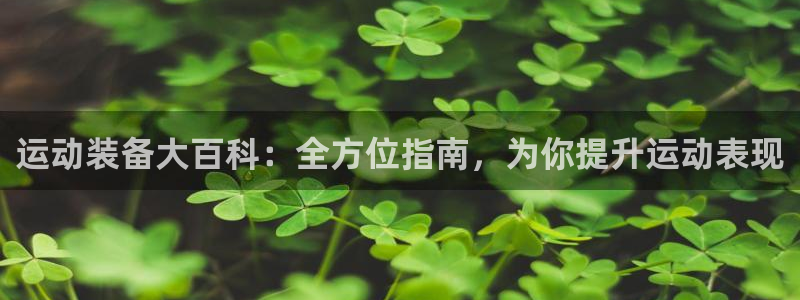 意昂3新能源：运动装备大百科：全方位指南，为你提升运