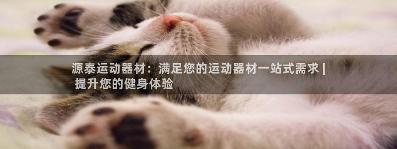 意昂体育3招商：源泰运动器材：满足您的运动器材一站式