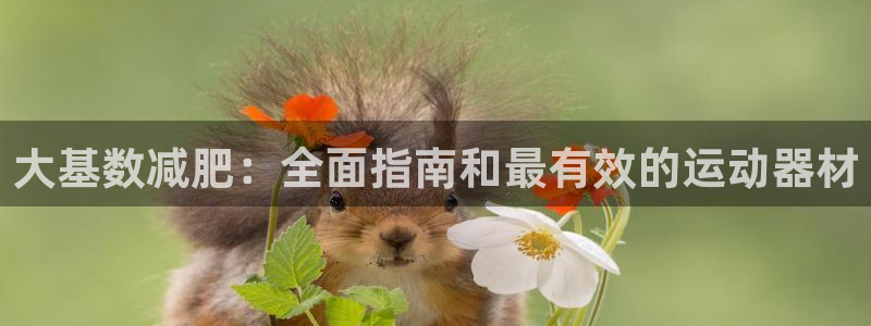 意昂体育3平台注册：大基数减肥：全面指南和最有效的运