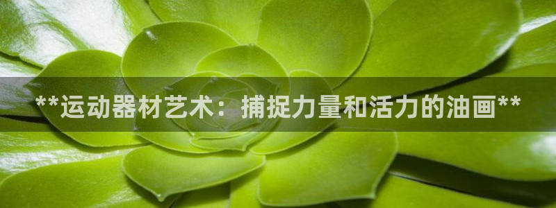 意昂体育3平台注册要钱吗是真的吗：**运动器材艺术：