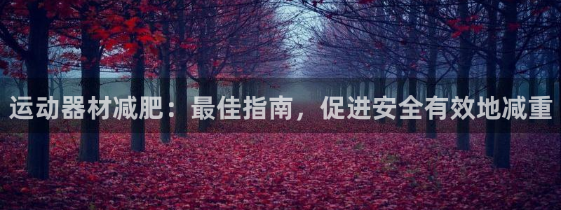 意昂3娱乐40996：运动器材减肥：最佳指南，促进安