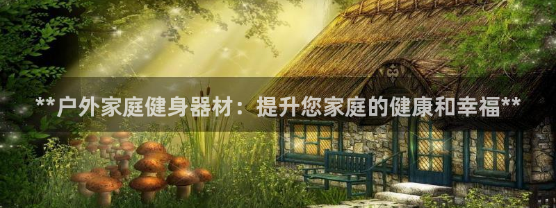 意昂3代理：**户外家庭健身器材：提升您家庭的健康和
