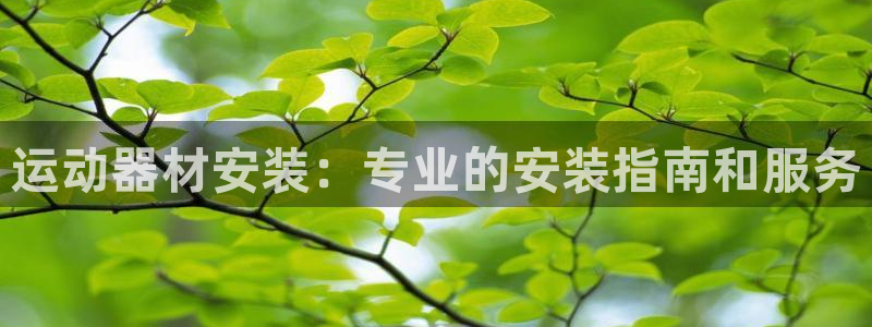 意昂体育3平台注册流程视频：运动器材安装：专业的安装