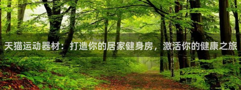 意昂体育3是干嘛的公司：天猫运动器材：打造你的居家健