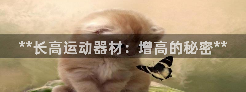 意昂体育3娱乐：**长高运动器材：增高的秘密**
