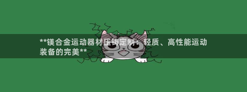 意昂3娱乐：**镁合金运动器材压铸定制：轻质、高性能