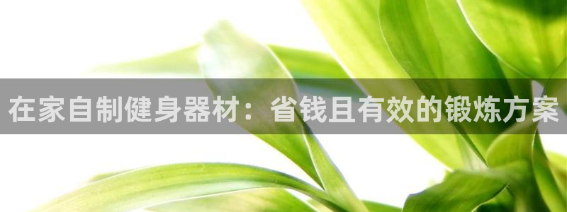意昂体育3软件：在家自制健身器材：省钱且有效的锻炼方