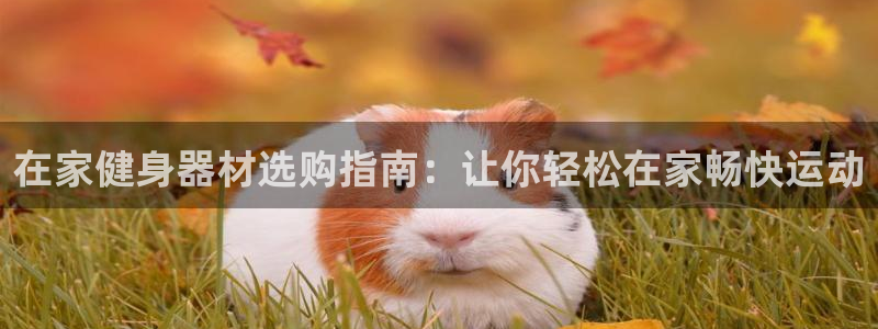 意昂体育3官方客服电话：在家健身器材选购指南：让你轻