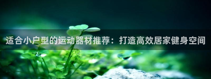 意昂3娱乐40996：适合小户型的运动器材推荐：打造
