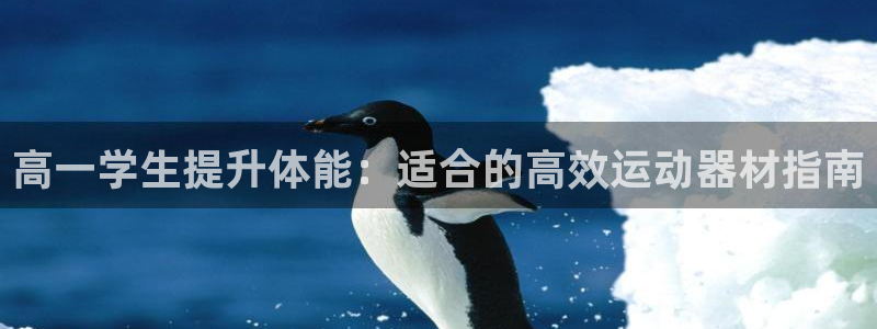 意昂体育3官方客服电话：高一学生提升体能：适合的高效