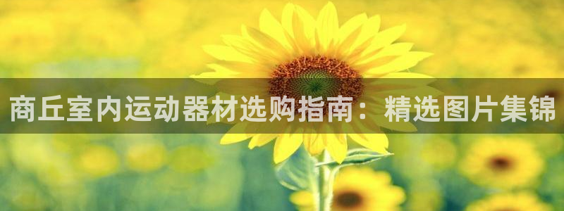 意昂体育3联系电话：商丘室内运动器材选购指南：精选图