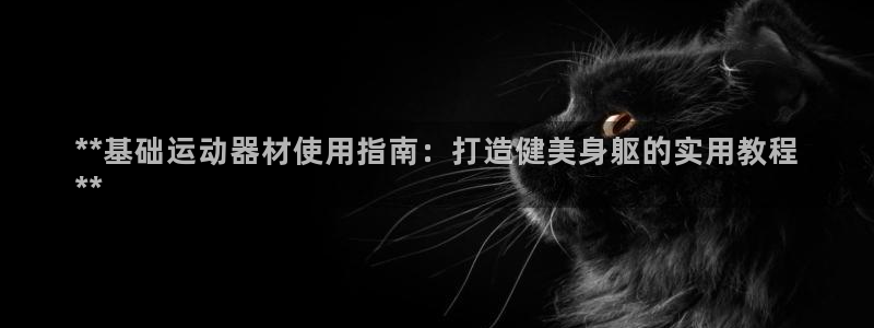 意昂体育3平台假的吗是真的吗：**基础运动器材使用指