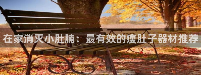 意昂体育3平台：在家消灭小肚腩：最有效的瘦肚子器材推
