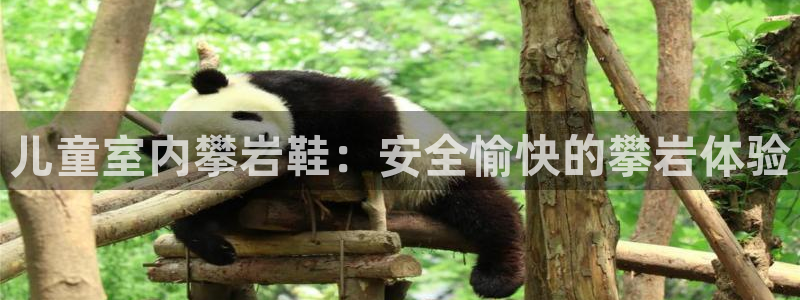 意昂3新能源：儿童室内攀岩鞋：安全愉快的攀岩体验