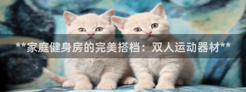 意昂体育3招商电话是多少啊：**家庭健身房的完美搭档