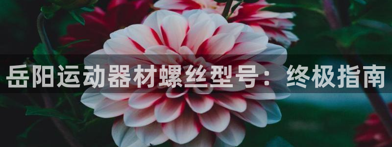 意昂体育3平台注册流程图：岳阳运动器材螺丝型号：终极