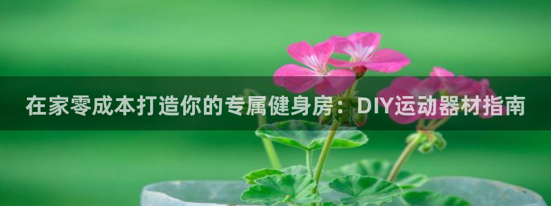 意昂体育3招商电话地址：在家零成本打造你的专属健身房