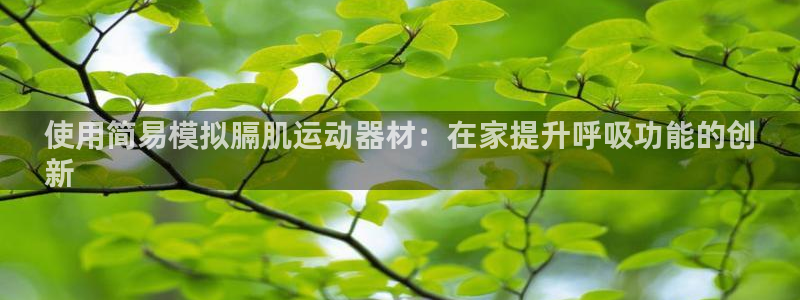 意昂体育3招商电话地址是多少：使用简易模拟膈肌运动器