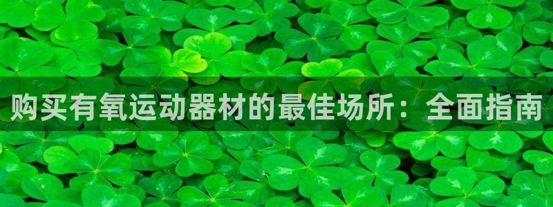 德国意昂3集团：购买有氧运动器材的最佳场所：全面指南