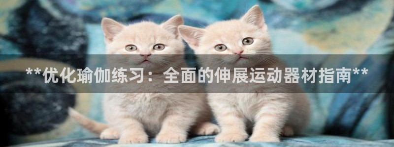 意昂体育3平台注册：**优化瑜伽练习：全面的伸展运动