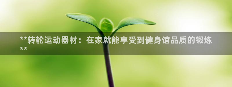 海南意昂体育3发展怎么样：**转轮运动器材：在家就能