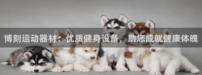 意昂体育3招商电话是多少号码：博刻运动器材：优质健身