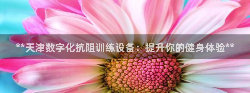 意昂体育3平台：**天津数字化抗阻训练设备：提升你的
