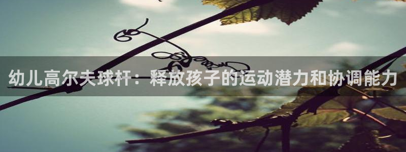 意昂体育3平台是正规平台吗：幼儿高尔夫球杆：释放孩子