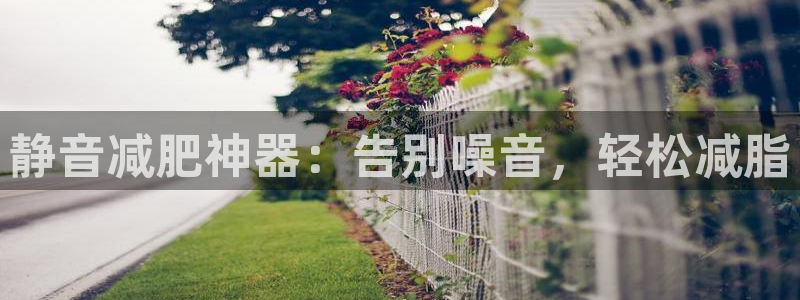意昂体育3官方客服电话：静音减肥神器：告别噪音，轻松