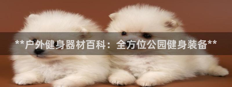意昂3官方：**户外健身器材百科：全方位公园健身装备