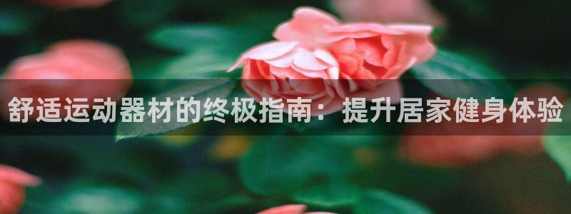 意昂3集团logo：舒适运动器材的终极指南：提升居家