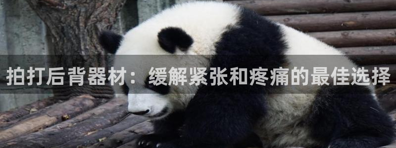 海南意昂体育3发展怎么样：拍打后背器材：缓解紧张和疼