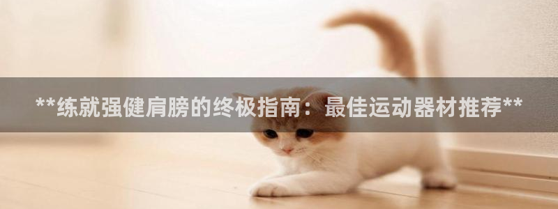 意昂体育3招商电话是多少：**练就强健肩膀的终极指南