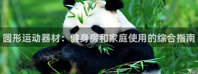 意昂3娱乐首页官网下载：圆形运动器材：健身房和家庭使