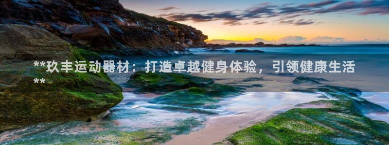 意昂3娱乐：**玖丰运动器材：打造卓越健身体验，引领