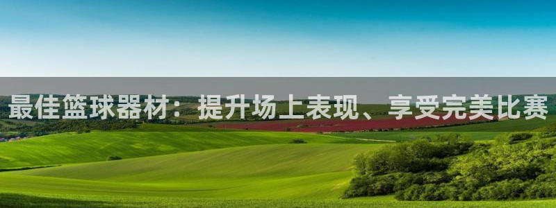 意昂体育3招商电话地址查询：最佳篮球器材：提升场上表