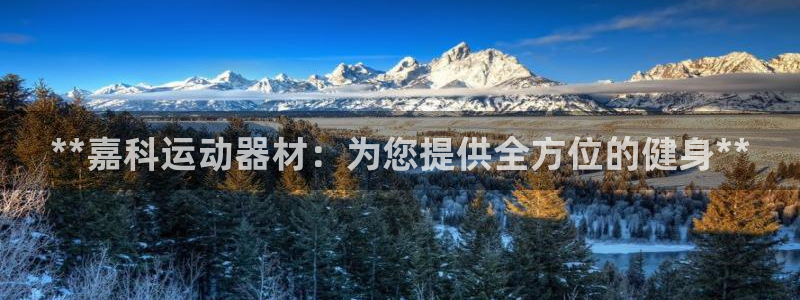 意昂3科技：**嘉科运动器材：为您提供全方位的健身*