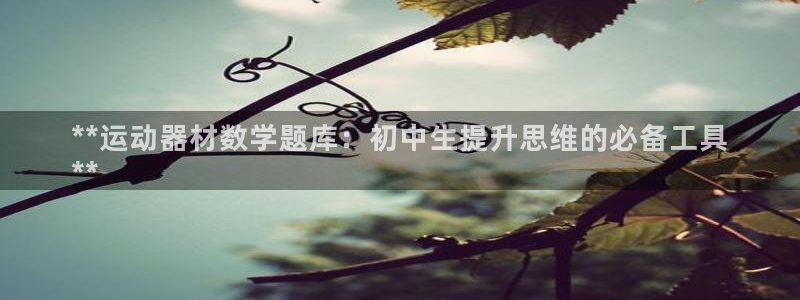 意昂体育3平台：**运动器材数学题库：初中生提升思维