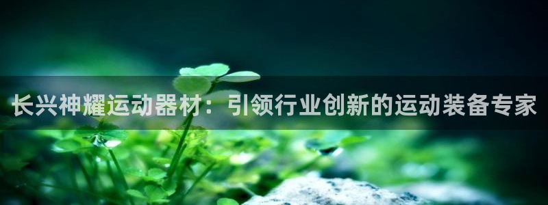 意昂体育3平台假的吗是真的吗：长兴神耀运动器材：引领