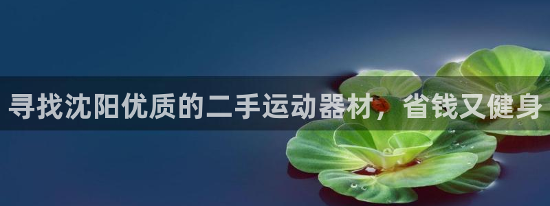 意昂体育3平台：寻找沈阳优质的二手运动器材，省钱又健