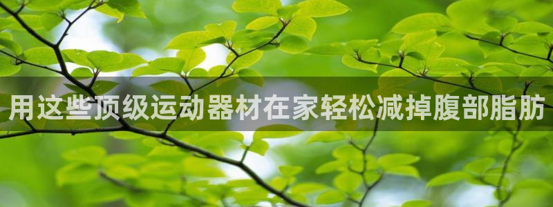 意昂体育3娱乐：用这些顶级运动器材在家轻松减掉腹部脂