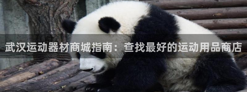 意昂体育3注册：武汉运动器材商城指南：查找最好的运动