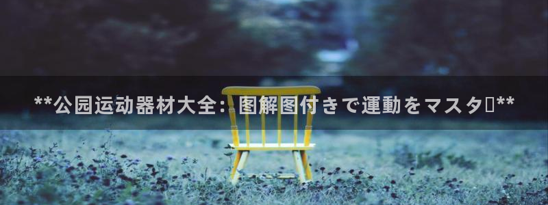 意昂体育3联系电话：**公园运动器材大全：图解图付き