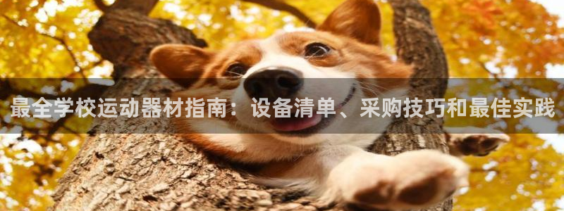 意昂体育3平台注册要钱吗是真的吗：最全学校运动器材指