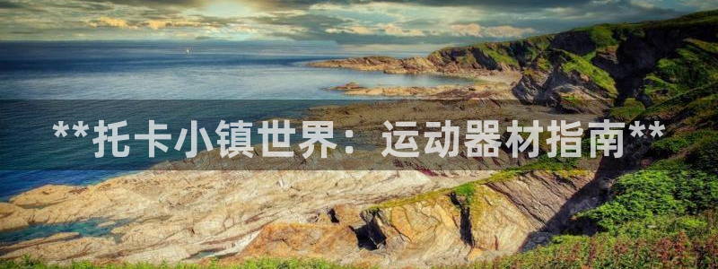 意昂体育3平台注册：**托卡小镇世界：运动器材指南*