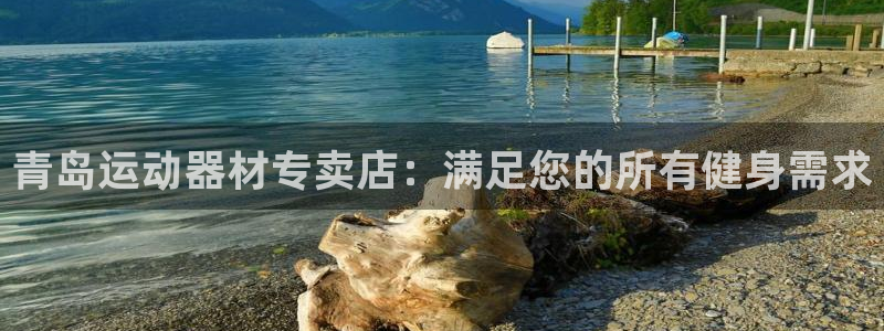 意昂体育3平台是正规平台吗：青岛运动器材专卖店：满足