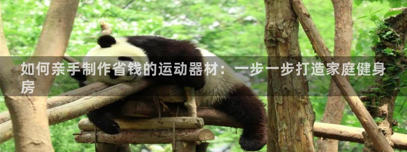 德国意昂3集团：如何亲手制作省钱的运动器材：一步一步