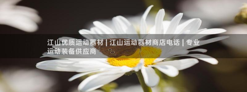 意昂体育3招商电话地址查询：江山优质运动器材 | 江
