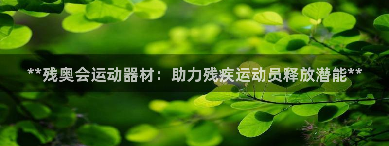 意昂3娱乐40996：**残奥会运动器材：助力残疾运