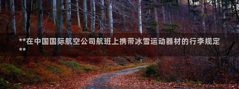 意昂体育3：**在中国国际航空公司航班上携带冰雪运动